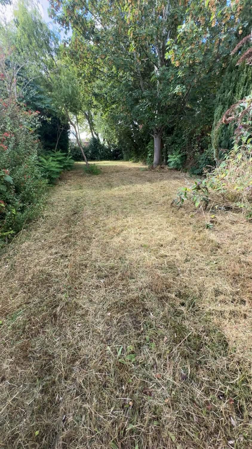 Same garden path freshly cut short and tidy, after The Lawn Lads visited